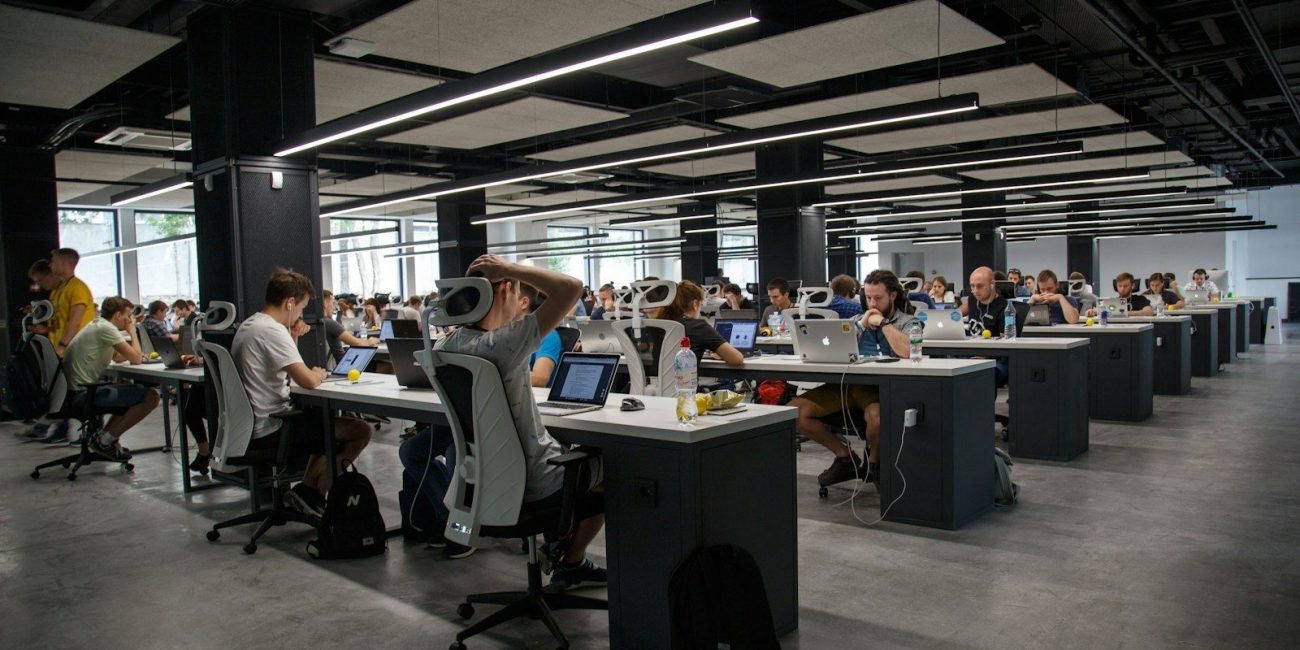 people doing office works